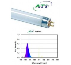 ATI Actinic 80 watt - Neon per Acquari Marini
